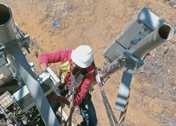  Maintenance of Masts and Pylons Structures